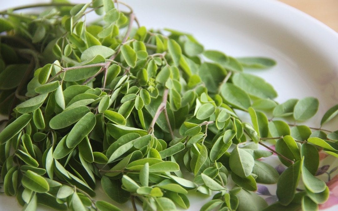 health benefits of moringa seeds