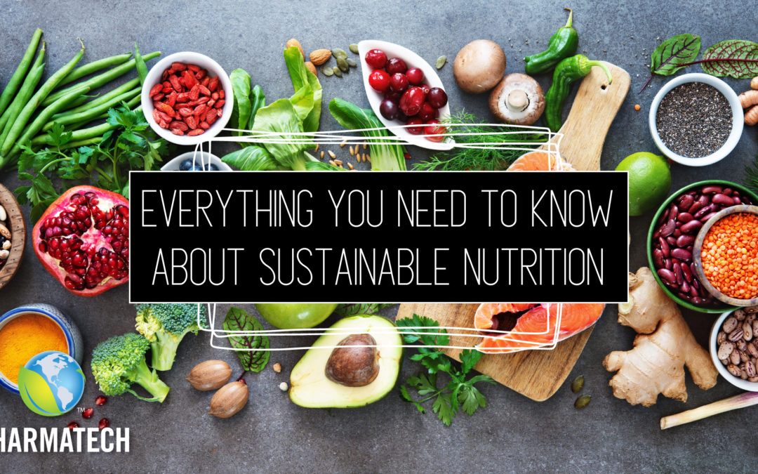 Everything You Need To Know About Sustainable Nutrition